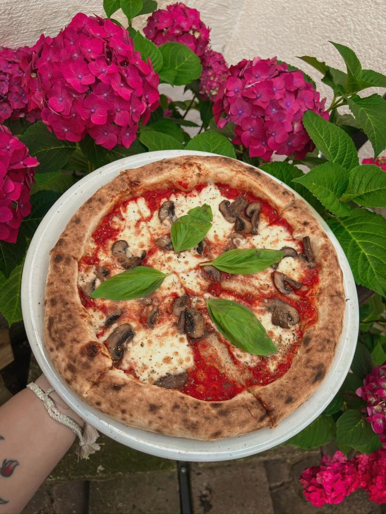 Frisch gebackene Pizza auf einem weißen Teller, gehalten von einer Person. Der goldbraune Teig ist mit Tomatensoße, geschmolzenem Käse, Pilzen und frischem Basilikum belegt. Im Hintergrund sorgen pinke Hortensien und grüne Blätter für eine farbenfrohe und ansprechende Kulisse.